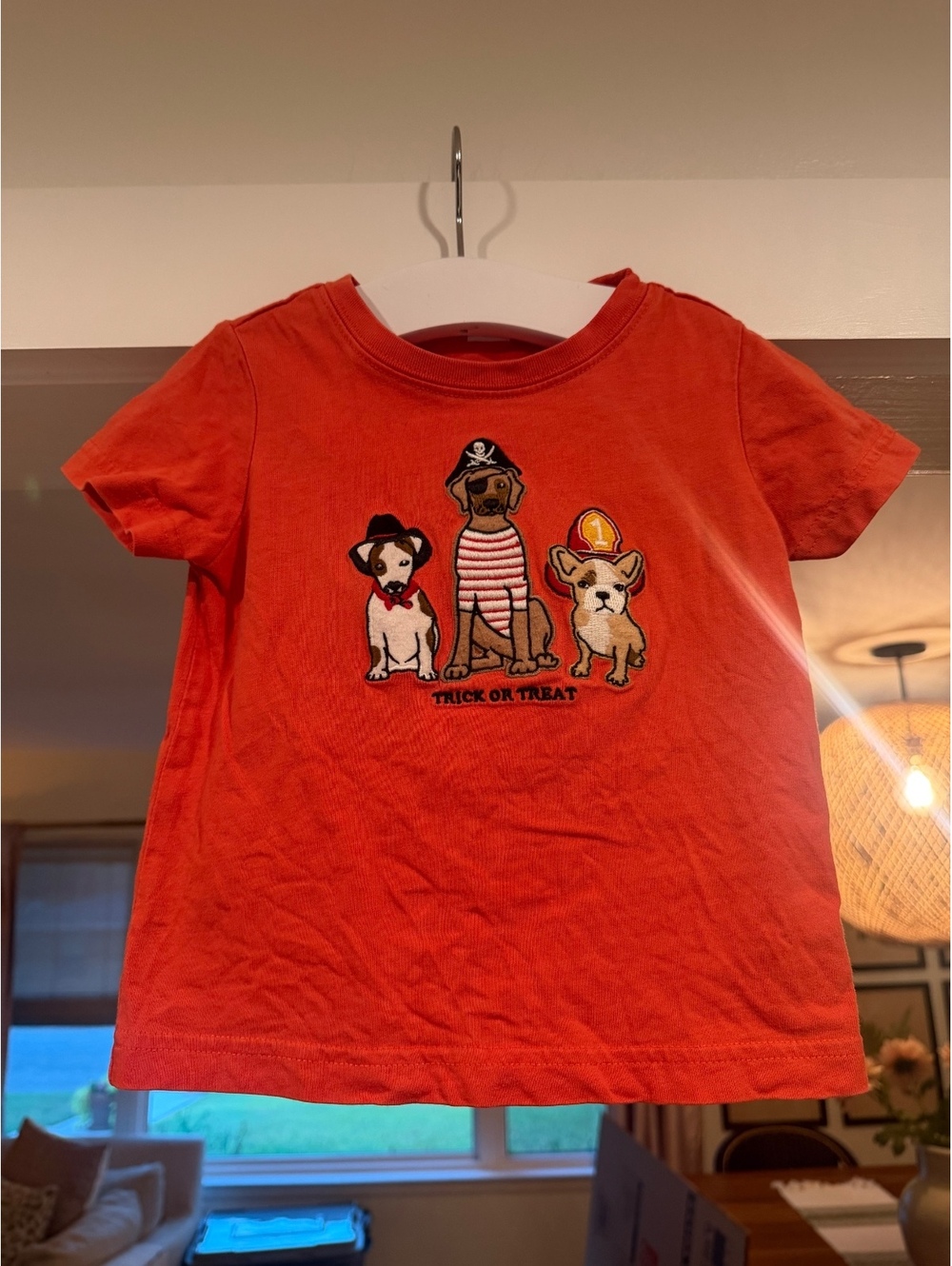 Janie and Jack Halloween dog tee
